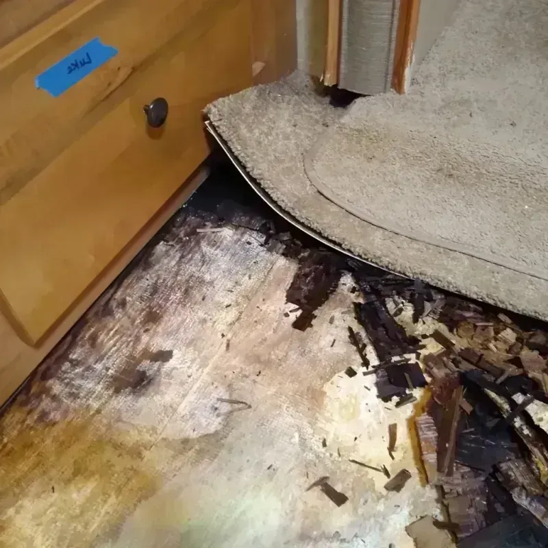 Wood Floor Water Damage in Wichita, KS